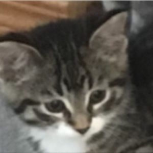 Meet your Posher, Riley